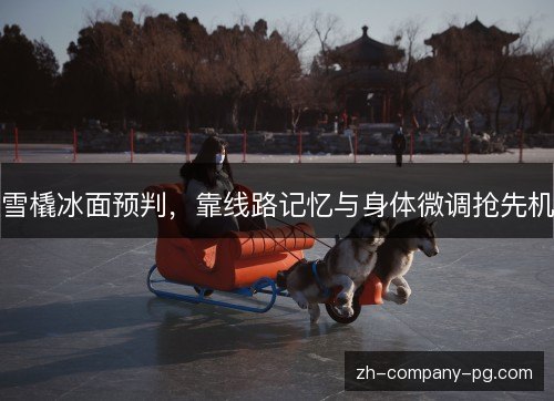 雪橇冰面预判,靠线路记忆与身体微调抢先机 雪橇冰面预判,靠线路记忆与身体微调抢先机